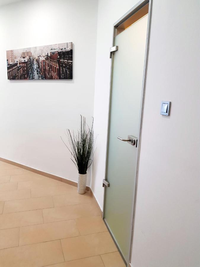 Luxurious Apartment With Balconies In Downtown Bp Budapest Ngoại thất bức ảnh